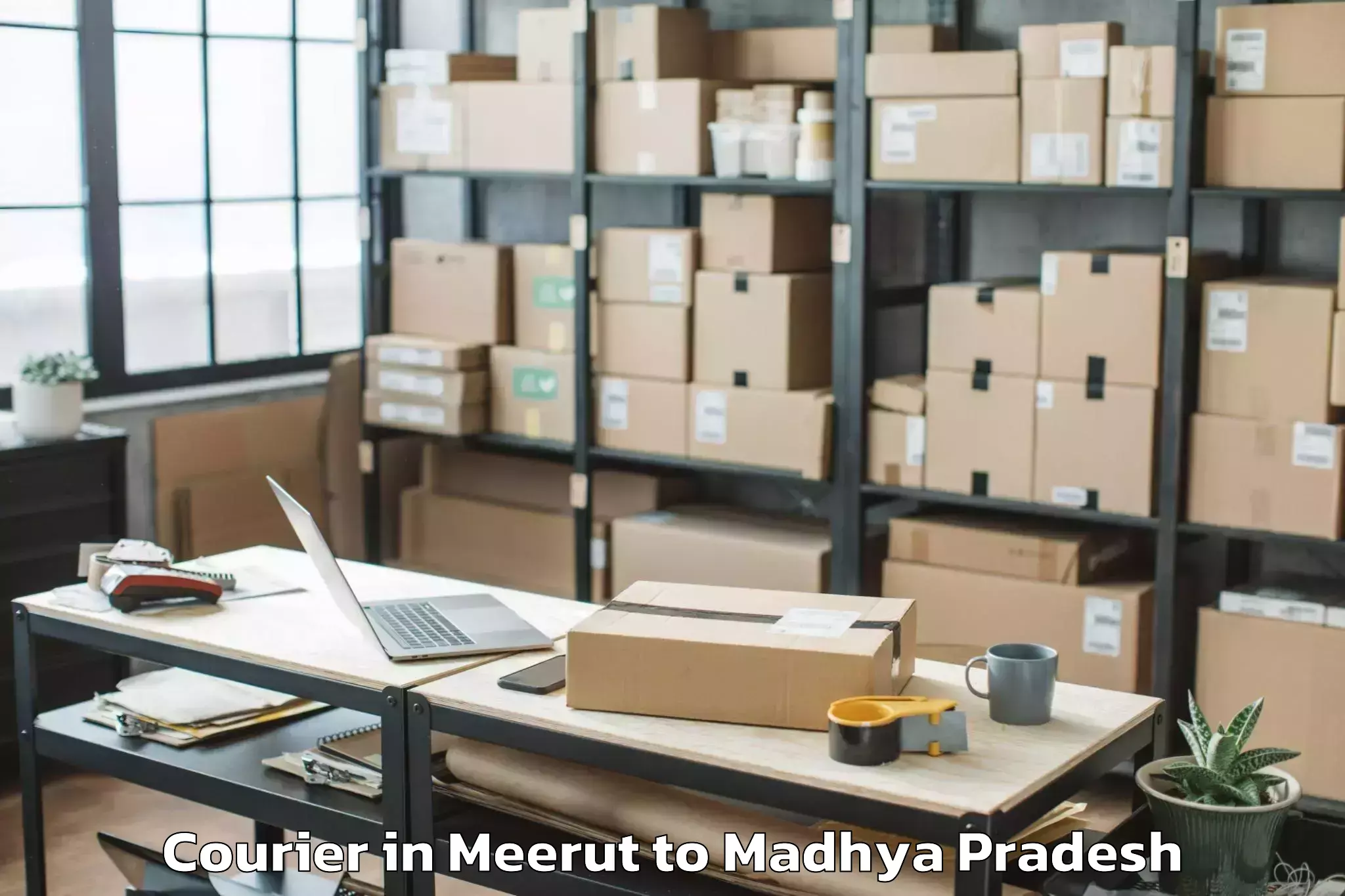 Top Meerut to Pachore Courier Available